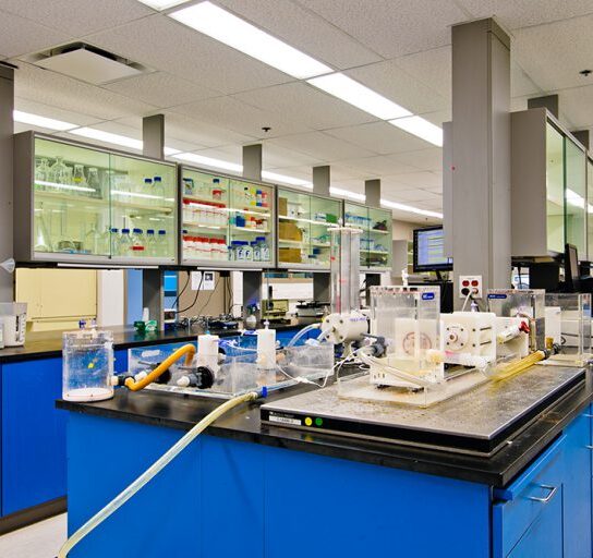 3DT__DSC3901-1-768x512-1-978x652x142x0x694x652x1665606125