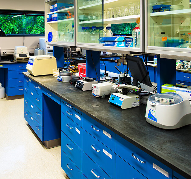 RESEARCH-LAB3-3DT__DSC3911-1-1-1-1106x738x316x84x694x652x1665606171 (1)