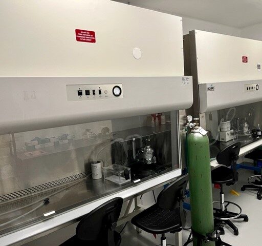 Small-Procedure-BSCs-866x650x0x0x694x650x1665606643